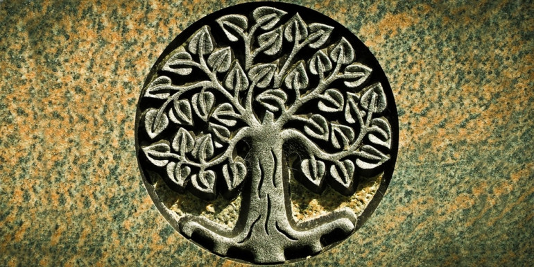 Strom života