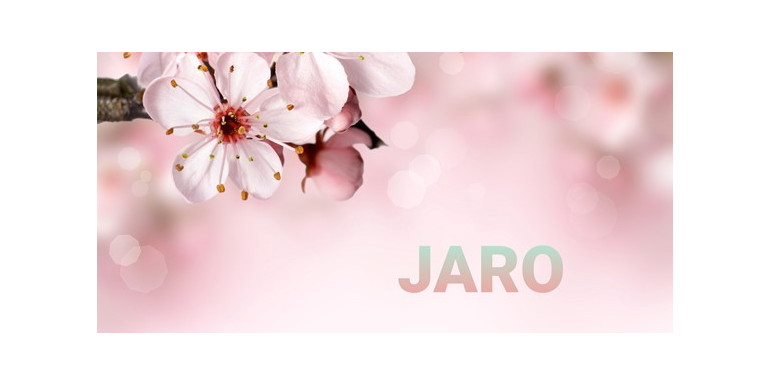 Barvičky a kytičky patří k jaru