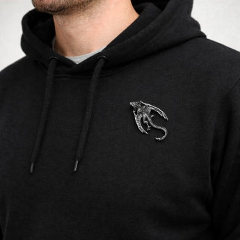 Brož Drak s patinováním