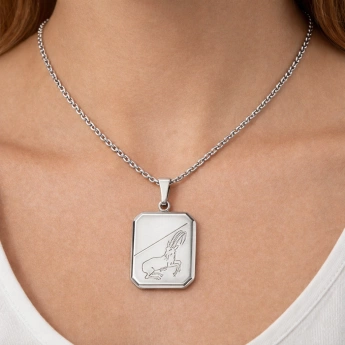 Stříbrný přívěsek kozoroh Capria