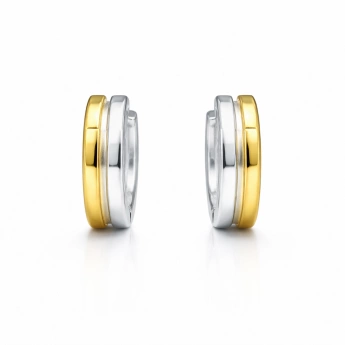 Stříbrné kruhové náušnice bicolor Patilla