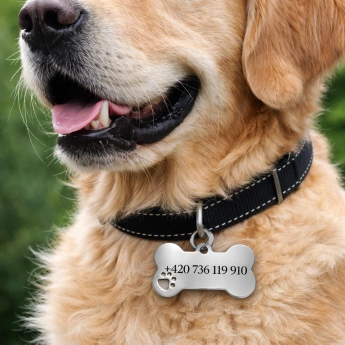Ocelová psí známka s gravírováním Kost