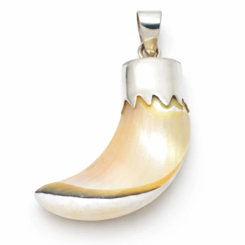 Stříbrný přívěsek s mušlovinou roh hojnosti Chlam