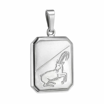 Stříbrný přívěsek kozoroh Capria