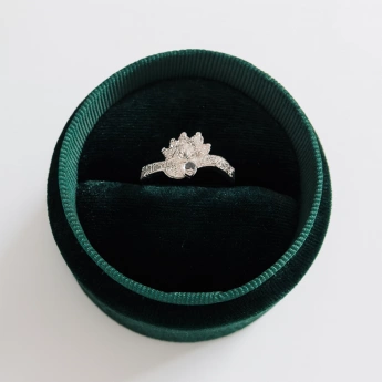 Stříbrný prsten s motivem korunky se zirkony Daphne