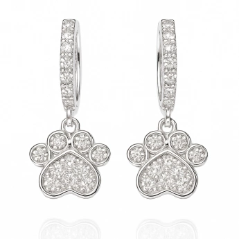 Stříbrné náušnice Packa se zirkony