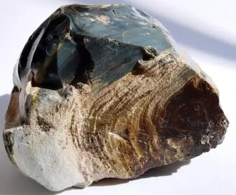 Araukarit - zkamenělé dřevo